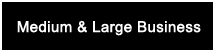 Medium and Large Business Solutions